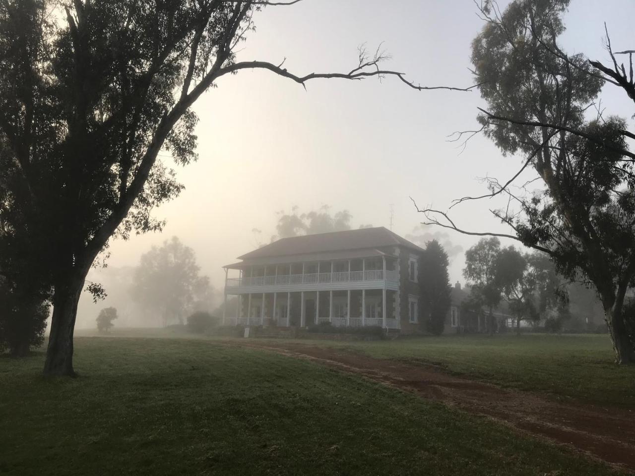 Dempster Cottage Irishtown Buitenkant foto